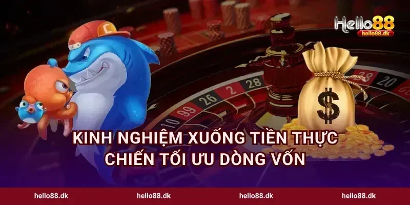 Kinh nghiệm xuống tiền thực chiến tối ưu dòng vốn