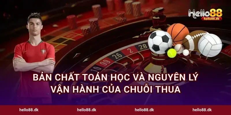 Bản chất toán học và nguyên lý vận hành của chuỗi thua