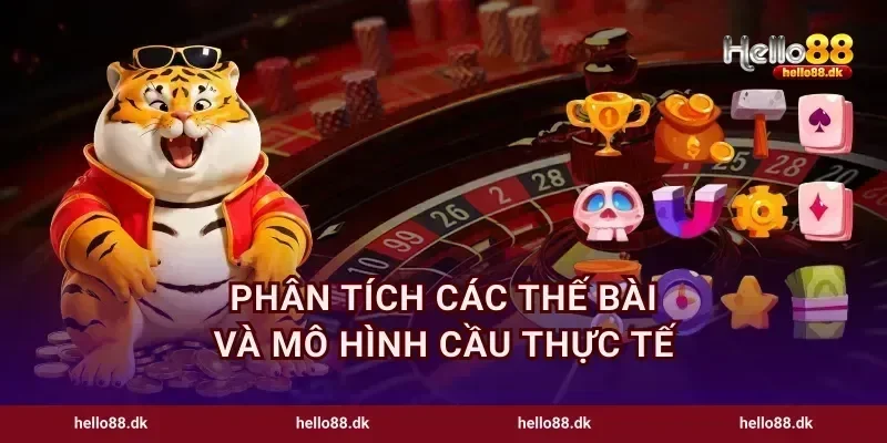 Phân tích các thế bài và mô hình cầu thực tế